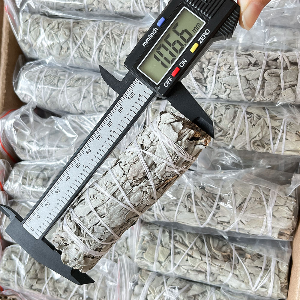 10CM White Sage