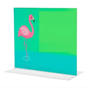 Support d'affichage EXPO PLEXI, merchandising personnalisé - Product Image 1