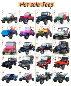 Excellent rapport qualité-prix : Véhicule à essence à vendre – Jeep tout-terrain de luxe homologuée CE, très utile - Product Image 6