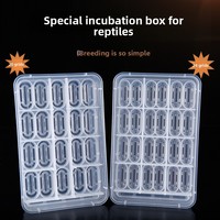 Boîte d'incubation rectangulaire en plastique pour reptiles (tortues, geckos, lézards, caméléons) - Incubateur d'œufs et plateau d'élevage
