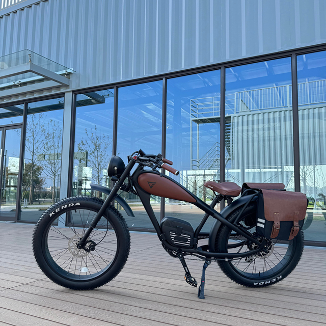 OEM Factory Customized E Bike Dual Lithium Battery 750w Motor Vintage Cafe Racer Electric Bicycle Fat Tire Electric Road Bike