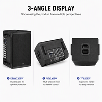 Haut-parleur de scène actif professionnel 10 pouces pour la rue, système de sonorisation portable 300W pour extérieur, système de karaoké sans fil avec module numérique DSP