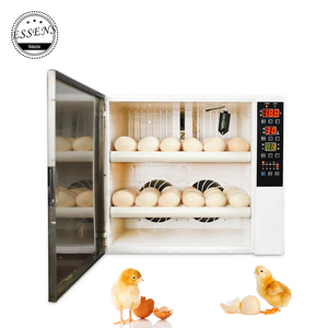 <span class=keywords><strong>Mini</strong></span> Incubadora de Huevos para 60 Aves de Corral, Precio de Venta en Zimbabue - Product Image 2