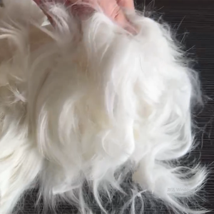 Sharrefun超高品質100% アンゴラウサギの髪のヘアケアとカード付き15.0-16.0ミクロン32mm長さ競争力のある価格 - Product Image 3