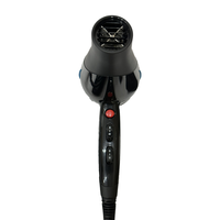 Sèche-cheveux haute puissance à moteur AC, fonction air froid, 2 vitesses de chaleur, boîtier PA66, couleur personnalisée