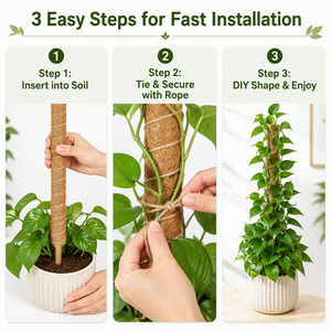 Poteau de soutien flexible en mousse naturelle pour plantes, piquets de grimpement souples en fibre de coco pour Monstera, Pothos, jardin intérieur - Product Image 2