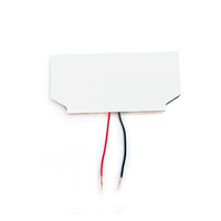 Rétroéclairage LED personnalisé en couleur pleine taille pour écran LCD