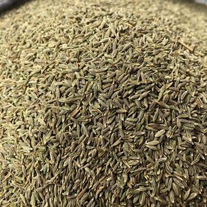<span class=keywords><strong>Semi</strong></span> di <span class=keywords><strong>Cumino</strong></span> Verde all'Ingrosso a Prezzo di Fabbrica - Product Image 1