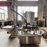 Ligne de production automatique d'eau en bouteille en verre étincelante vin vodka whisky Machine à emballer Machine de remplissage