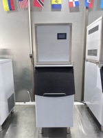Machine à glaçons en acier inoxydable 304 de 400 kg/24h avec pompe et moteur, refroidissement par air/eau