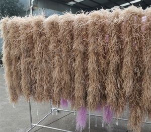 HY ผ้าพันคอสีน้ำตาล2ply ขนนกกระจอกเทศงูเหลือมสำหรับผู้หญิงงานปาร์ตี้ที่บ้านของตกแต่งวันคริสต์มาสงานฝีมือแบบทำมือเครื่องแต่งกายชุดเต้นรำเครื่องประดับ - Product Image 1