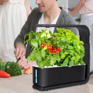 Brimmel-Hydro ponik Küchen-Kit, Anbaus ysteme für drinnen, Mini-Smart-Home-Garten, LED-Wachstums lampe