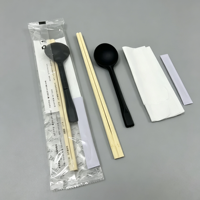 Cuillères de dégustation miniatures en plastique de qualité alimentaire robustes pour desserts glacés, restauration et hôtels, grandes cuillères PS 2.5/3.6G