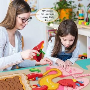 Activités éducatives sensorielles pour tout-petits : Pièces du corps – Tableau en papier et feutre bleu pour l'apprentissage préscolaire, les arts et l'artisanat, utilisation à domicile ou à l'école - Product Image 6