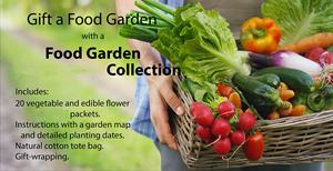 Premium <span class=keywords><strong>Food</strong></span> <span class=keywords><strong>Garden</strong></span> 20 Pacchetti di Semi di Verdure per Fiori Artificiali per Uso a Terra in Vasi e Fioriere - Product Image 3