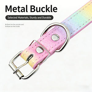 ปลอกคอสุนัขแบบกำหนดเอง ตัวอักษรประดับ ดีไซน์รุ้งระยิบระยับ หรูหรา ผลิตจากหนัง PU นุ่ม เป็นมิตรกับสิ่งแวดล้อม สำหรับสุนัข - Product Image 2