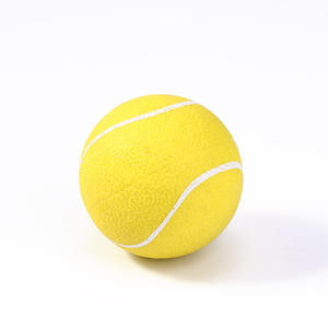 Toptan Pet moda hediyeler köpek eğitim topları ucuz Bite dayanıklı katı elastik Pet açık oyuncak topları - Product Image 1