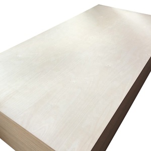 Chapa de Abedul Ecológica Moderna al por Mayor de 3mm 6mm 18mm <span class=keywords><strong>BB</strong></span>/CP E0, Contrachapado de Abedul Báltico - Product Image 5