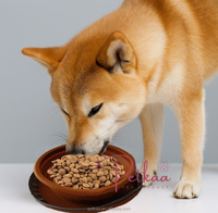 Bol de voyage pliable et étanche pour animaux de compagnie, personnalisé, écologique, en silicone de qualité alimentaire, double fonction (nourriture et eau)