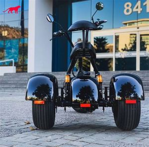 Leoncitycoco cee et COC 4000 W Citycoco rouleau pour enfants billg venda 2 Sitzer - Product Image 6