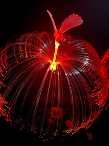 ไฟ LED ใยแก้วนำแสงพลังงานแสงอาทิตย์ปรับอุณหภูมิได้2000-10000K ฮัมมิงเบิร์ดน้ำหนักเบาดีไซน์ IP65โรงงาน - Product Image 3