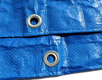 Bâche en PE tissée enduite, personnalisable et imperméable, pour abris industriels lourds