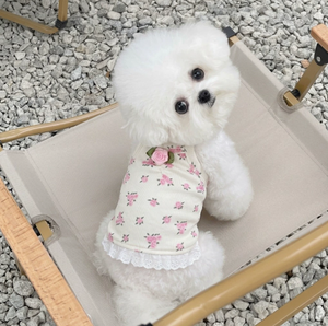 Nuevo Vestido de Verano para Mascotas, Estilo Coreano, Ropa Fresca para Perros, para Teddy, Bichón, <span class=keywords><strong>Maltés</strong></span>, Perros Pequeños y Medianos - Product Image 5