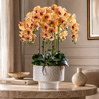 Orchidée Phalaenopsis Artificielle de Luxe avec Pétales au Toucher Réel, Arrangement Floral Artificiel Élégant pour Salon et Décoration Cadeau