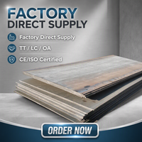 Láminas de Acero al Carbono de Alta Resistencia con Certificación ISO9001, ASTM/DIN, Estándares ANSI/JIS, Laminadas en Caliente, Venta Directa de Fábrica