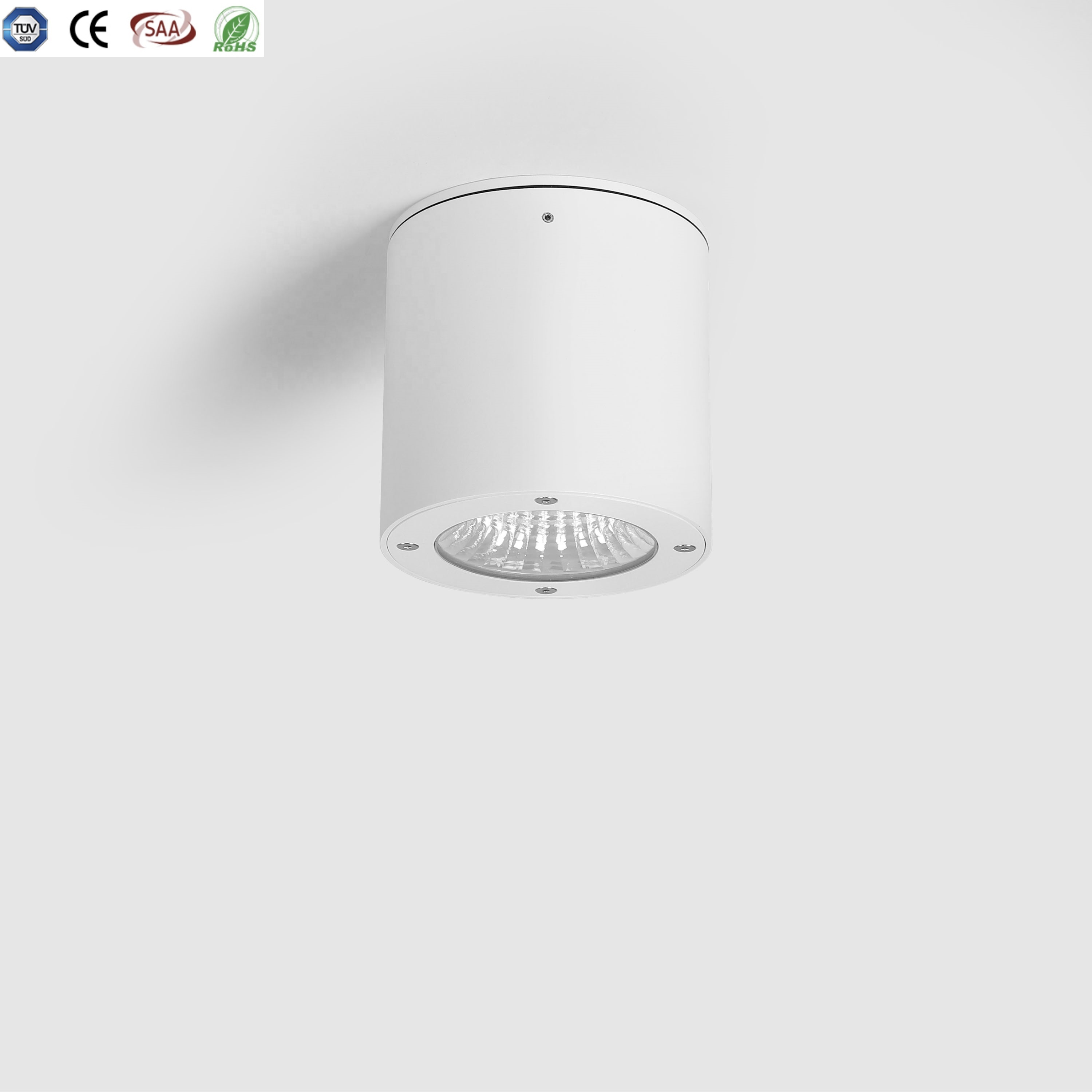 150DX150Hmm 150DMMX 200Hmm 150Dmmx300Hmm IP20,IP54,IP65 15 Вт, 20 Вт, 30 Вт, черного цвета с круглым носком белого, серого и серебряного цветов потолочное крепление СВЕТОДИОДНЫЙ свет