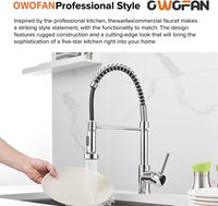 304SUS Gourmet Pull Out Chrome Robinet d'évier de cuisine Mono Trou Mitigeur d'eau chaude et froide à arc élevé