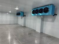 Cámara Frigorífica Económica para Almacenamiento en Frío de Productos Congelados y Frescos, Equipo de Cámara Frigorífica con Unidad Condensadora de Compresor