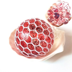 <b>Power</b> New Glitter Squishy Balls Colorful Anti-Stress Squeeze Grape TPR Sensory Toys Sewn <b>Mesh</b> Relieve Anxiety Calming - Product Image 5