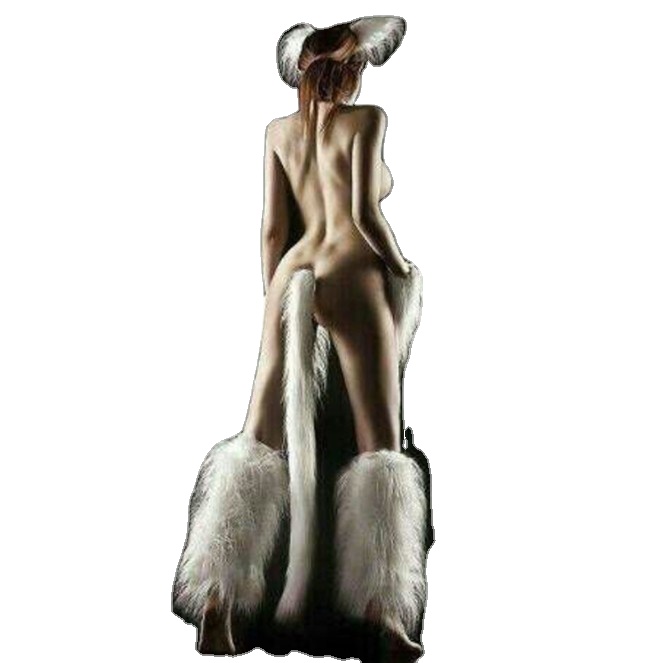 Fox Tail Butt Plug Suit - Sexy Cosplay Bodysuit for Women, Intimate Kegel  Exercise & Adult Costume, Perfect for Fox Outfit Fun