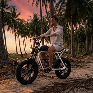 Bicicleta Eléctrica de Neumáticos Anchos de Estilo Casual en Color Blanco con Cambio de 7 Velocidades, Bicicleta Eléctrica para Vacaciones en Isla o Resort - Product Image 1