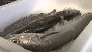 Máy Đóng Gói Hộp Xốp Epp Chất Lượng Sản Xuất Tại Trung Quốc Bán Chạy Nhất - Product Image 5