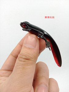 2024 8g 80mm Lagarto Simulación <span class=keywords><strong>de</strong></span> dos <span class=keywords><strong>tonos</strong></span> Cebo <span class=keywords><strong>de</strong></span> plástico <span class=keywords><strong>Rana</strong></span> Renacuajo Olor a pescado Cebo suave - Product Image 5