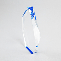 Trophée en acrylique personnalisé APEX, plaque avec logo personnalisé, récompenses pour la reconnaissance des employés, reconnaissance d'entreprise