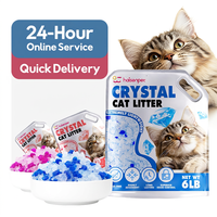 Gel de silice de litière pour chat en cristal à granulés sans poussière en gros