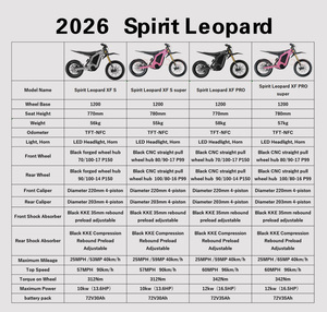 มอเตอร์ไซค์วิบาก Leopard PRO รุ่นล่าสุด ปี 2026 กำลัง 12KW แรงบิด 342Nm ความเร็วสูงสุด 96 กม./ชม. แบตเตอรี่ 72V35AH Spirit Super Dirt Bike Leopard Dirt Bike R - Product Image 6