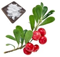 Poudre naturelle d'alpha arbutine Cas 98% de poudre d'extrait de feuille de busserole 497