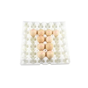 علبة قفص البيض بطبقة بلاستيكية بوهيمية سعة 5*30 بيضة أدوات نقل دوارة معدات الدواجن ديكور منزلي - Product Image 3
