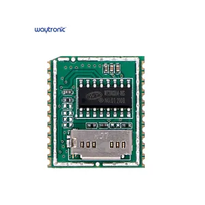 Waytroinc Modul Chip Chip IC Modul Suara Standar untuk Pemutar Suara