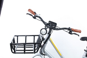 Vélo cargo électrique en promotion pour le transport familial de marchandises, capacité 200 kg, cadre de haute qualité - Product Image 4