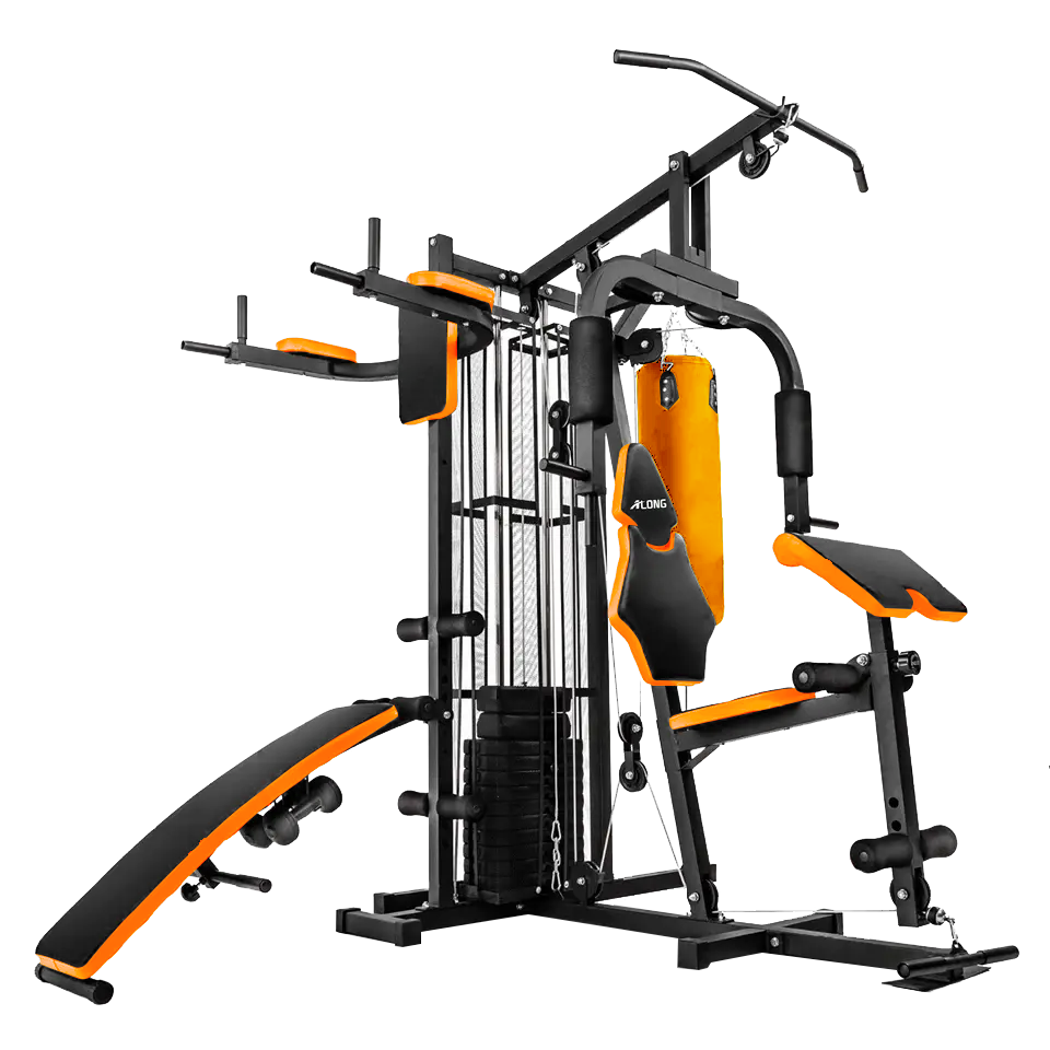Lifegear Lifetime Home Gym Life Time Fitness Equipment 2025