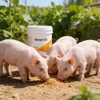 Additif alimentaire enzymatique probiotique pour porcs et porcelets, améliore la croissance et la consommation d'aliments, Hesyn D3, santé intestinale des porcelets, réduit les odeurs