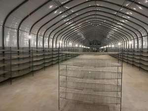 Capannone Intelligente per Allevamento Avicolo - Controllo IoT di Alimentazione, Abbeveraggio e Illuminazione - Product Image 4