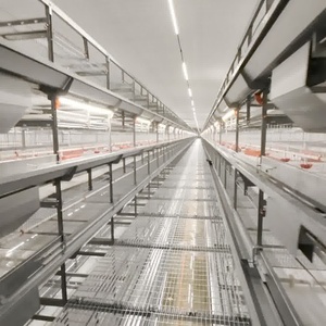 מותאם אישית סוג broiler קצירת אוטומטי כלובי סוללה 60000-80000 ציפורים קיבולת העוף ריצפה קול חדש - Product Image 5
