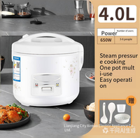 Cuiseur à riz personnalisé pour 3-4 personnes, adapté à un usage domestique, en dortoir, mini cuiseur à riz, pot antiadhésif, cuiseur à riz