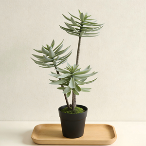 ต้นเอโอเนียมล็อตัสประดิษฐ์ 3 หัวในกระถางพลาสติกสีดำ ต้นไม้ประดิษฐ์ ต้นไม้ปลอมสำหรับตกแต่งบ้านและสวน - Product Image 2